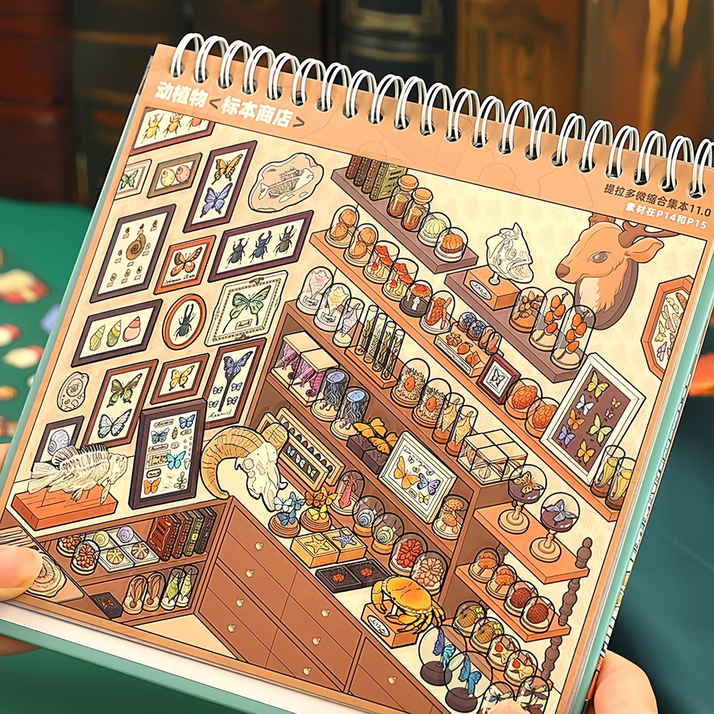 Shelf Display 3D Sticker Book（telado 11.0）